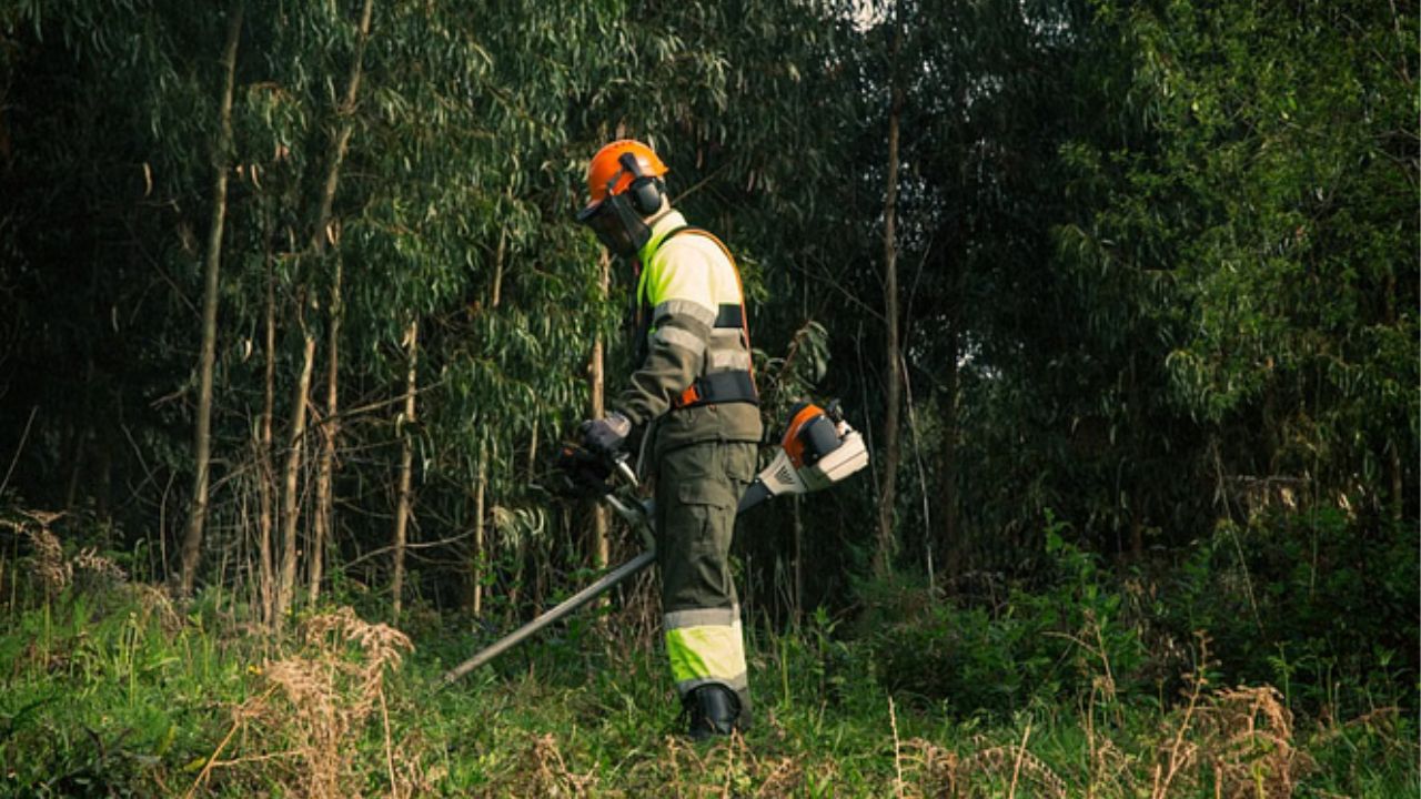 वन विभाग में निकली जॉब